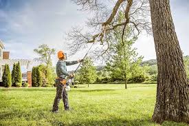 Best Soil Testing and Treatment  in Weimar, TX